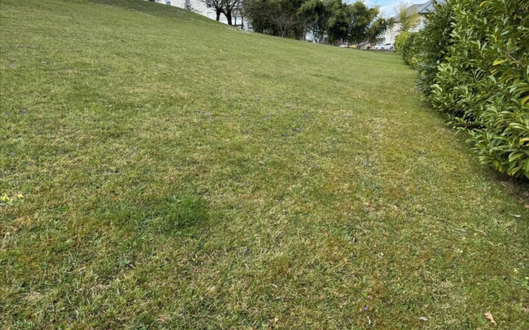 Vente Terrain – à Mouxy (73100)