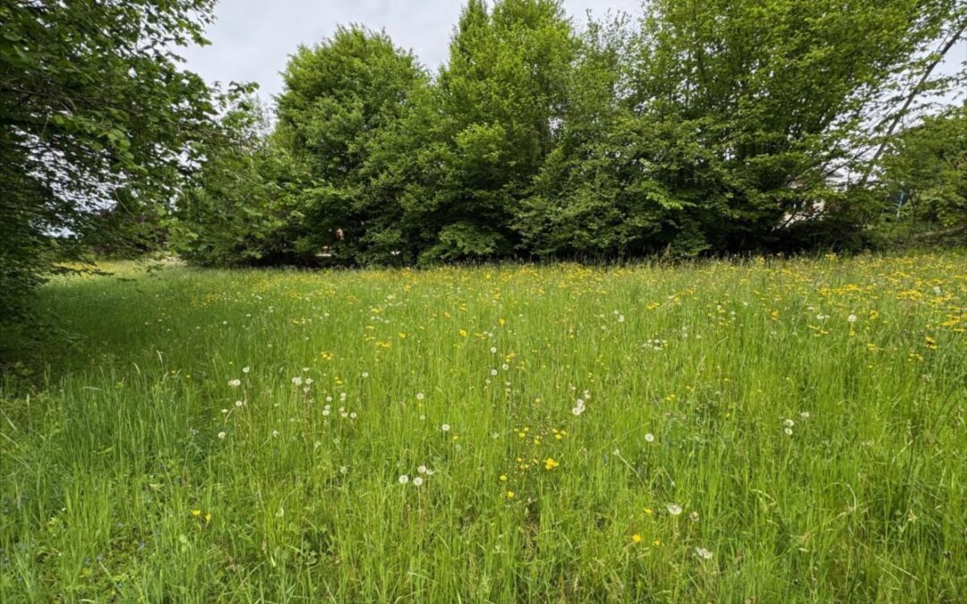 Vente Terrain – à Saint-ours – Savoie (73410)